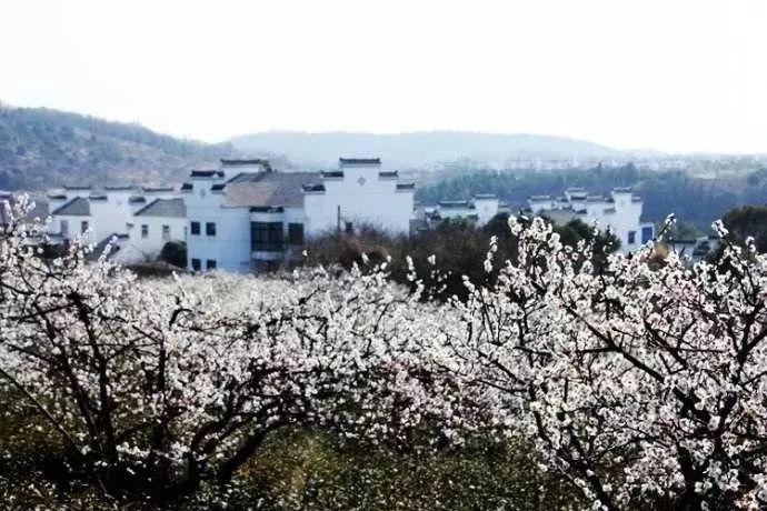 张小泉菜刀客服称「我们的菜刀不能拍蒜」，这个解释合理吗？游戏画面